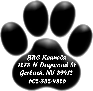 BRC Kennels - Bring Your Best Friend
